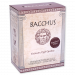 BACCHUS Excl. Elderberry Fläder 22L