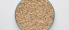 Mallas Pilsen Malt 3-4 EBC 1kg BW