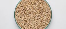 Mallas Pale Ale Malt 5-7 EBC 1kg BW