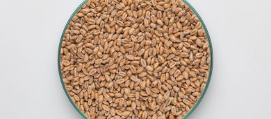 Wheat Malt 5-7 EBC 1kg BW