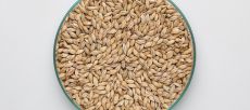 Vienna Malt 6-9 EBC 1kg BW