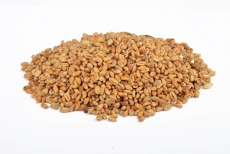 Dark Wheat 15-20 EBC 1kg Weyermann