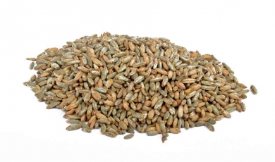 Rye Malt Pale 4-10 EBC 25kg Weyermann