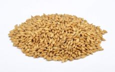 Beech Smoked Barley 4-8 EBC 1kg Weyermann