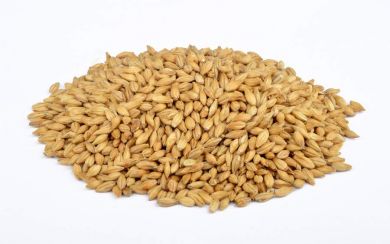 Beech Smoked Barley 4-8 EBC 1kg Weyermann