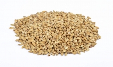 Floormalted Bohemian Pilsner 3-5 EBC 1kg Weyermann