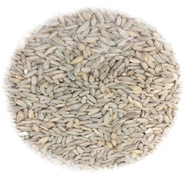 Rye Malt 25kg Viking