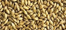 Low Colour Maris Otter 2-4 EBC 25kg Simpsons BBE