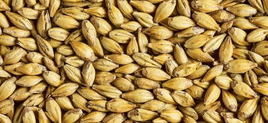 Caramalt 30-42 EBC 25kg Simpsons