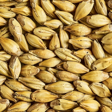 Caramalt 30-42 EBC 25kg Simpsons