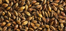 Brown Malt 430-600 EBC 25kg Simpsons