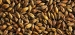 Brown Malt 430-600 EBC 25kg Simpsons