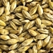 Aromatic Malt 50-70 EBC 25kg Simpsons