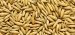 Malted Oats 2-4 EBC 25kg Simpsons