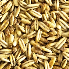 Golden Naked Oats 12-24 EBC 25kg Simpsons