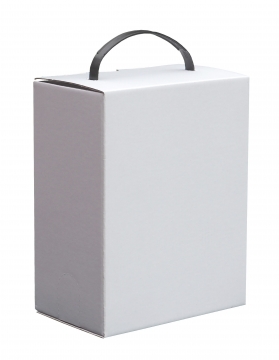 BAG IN BOX Laatikko 3 l Valkoinen+KAHVA