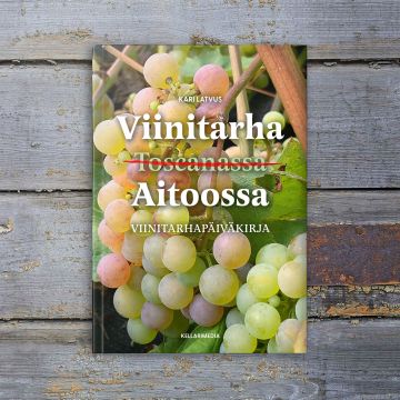 Viinitarha Aitoossa