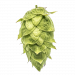 Ahtanum® 50g T90 pelletti YCH