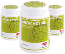 Lallemand ABV Aromazyme 100g