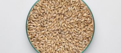 Mallas Vienna Malt 6-9 EBC 25kg BINDEWALD