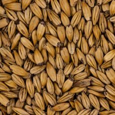 CaraGlow 1kg Simpson Malt