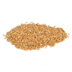 Coriander seeds 100g