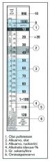 Hydrometer