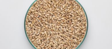 Pale Ale Malt 5-7 EBC 25kg BINDEWALD