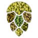 Green Bullet 1kg 2022