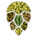 Styrian Wolf 100g pelletti 2020
