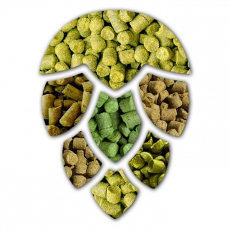 Coopers Humalapelletti Citra 25 g