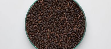 Mallas Extra Dark Malt 1350–1550 EBC 1kg BW