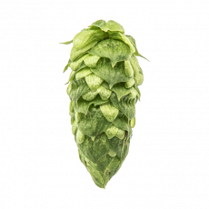 CRYO Simcoe® 25g pelletti YCH