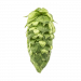 CRYO Simcoe® 25g pelletti YCH