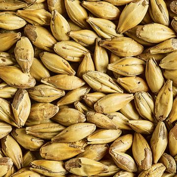 Premium English Caramalt 54-66 EBC 1kg Simpsons Malt  BBE 04/25