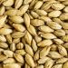 Vienna Malt 5-10 EBC 1kg Simpsons Malt