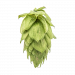 Sorachi Ace 50g T90 pelletti YCH