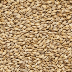 Golden Ale 9-14 EBC 25kg Viking