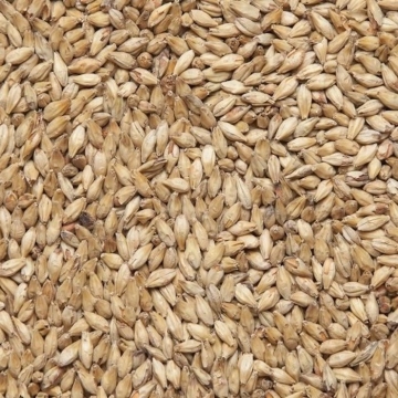 Pale Ale 4-7 EBC 25kg Viking