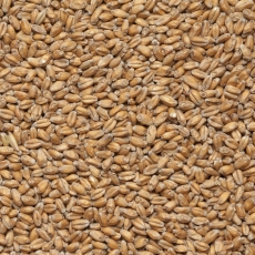 Smoked Wheat Malt max 10 EBC 25kg Viking