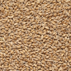 Wheat 3,5-6,5 EBC 25kg Viking