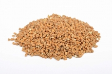 Diastatic Wheat Malt 3-5 EBC 25kg Weyermann