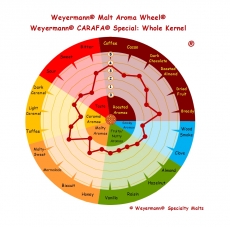 Carafa Special type 3 1300-1500 EBC 1kg Weyermann