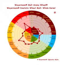 Diastatic Wheat Malt 3-5 EBC 1kg Weyermann