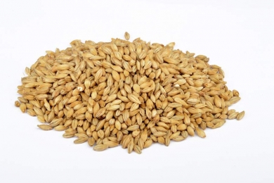 Wheat malt Pale 3-5 EBC 1kg Weyermann