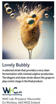 WHC Lab - Lovely Bubbly 11g