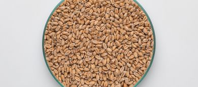 Mallas Wheat Malt 5-7 EBC 25kg BINDEWALD